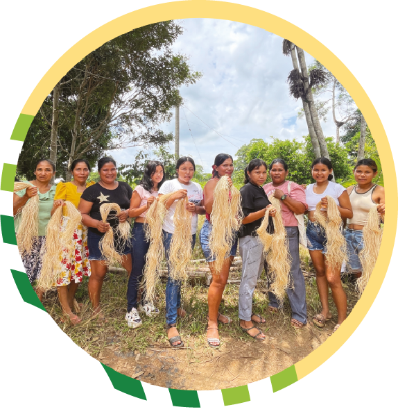 Tejidos comunitarios