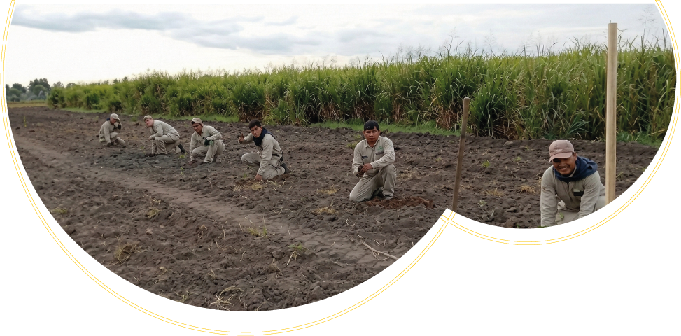 Producción regenerativa para la naturaleza y clima positivos