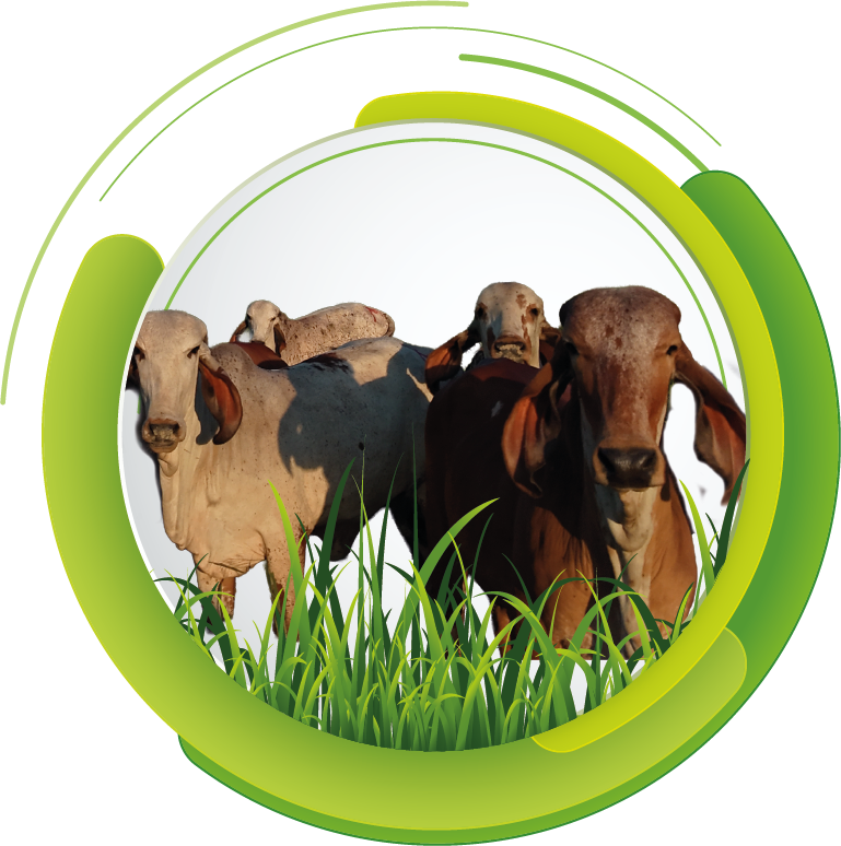 Producción de alimentos respetuosos